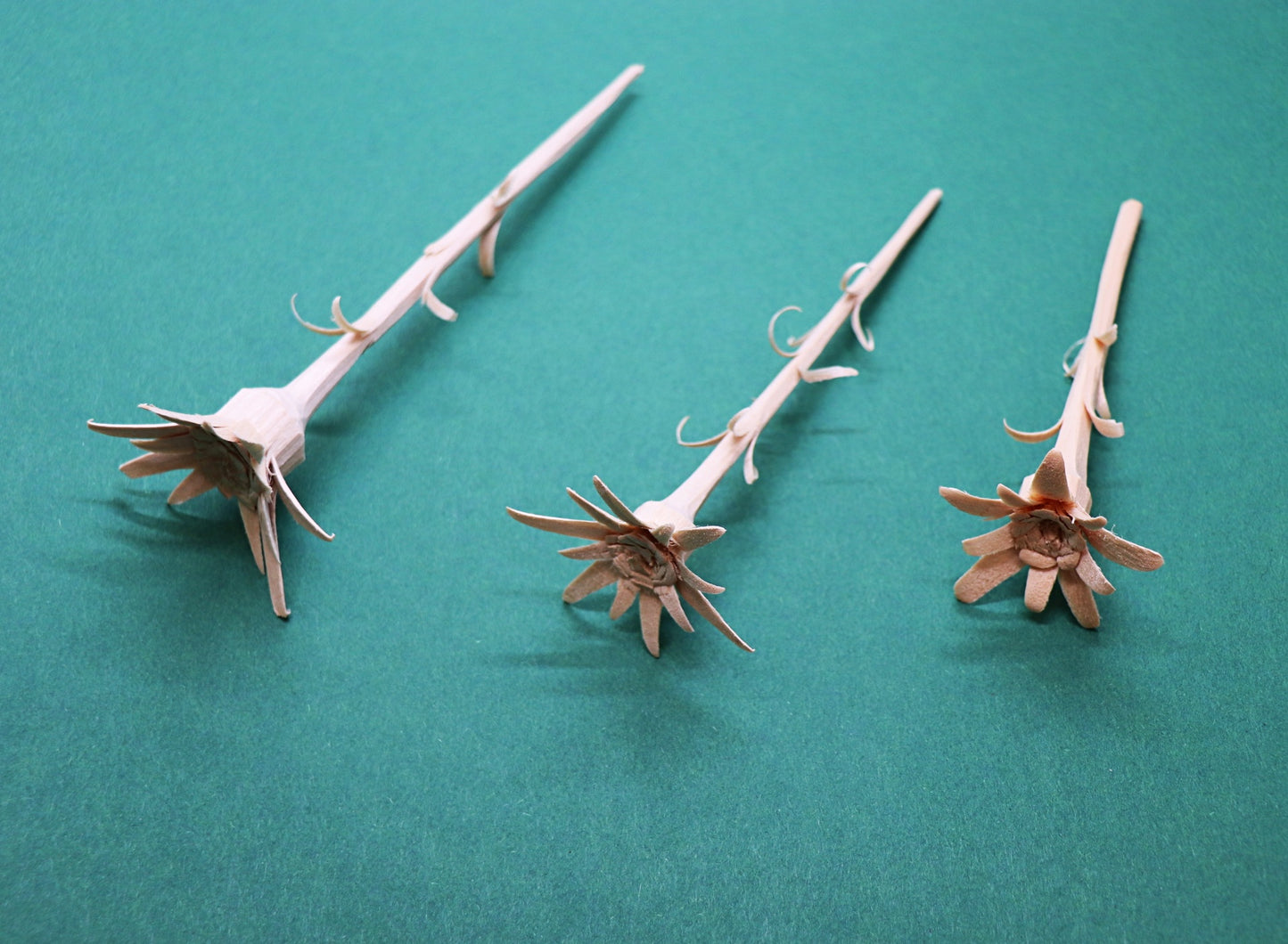 Edelweiss hand carved